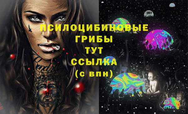 прущий лед Алексин